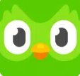 Duolingo 2026 Language Learning Guide: Download, Free vs. Premium, Beginner’s Learning Experiences